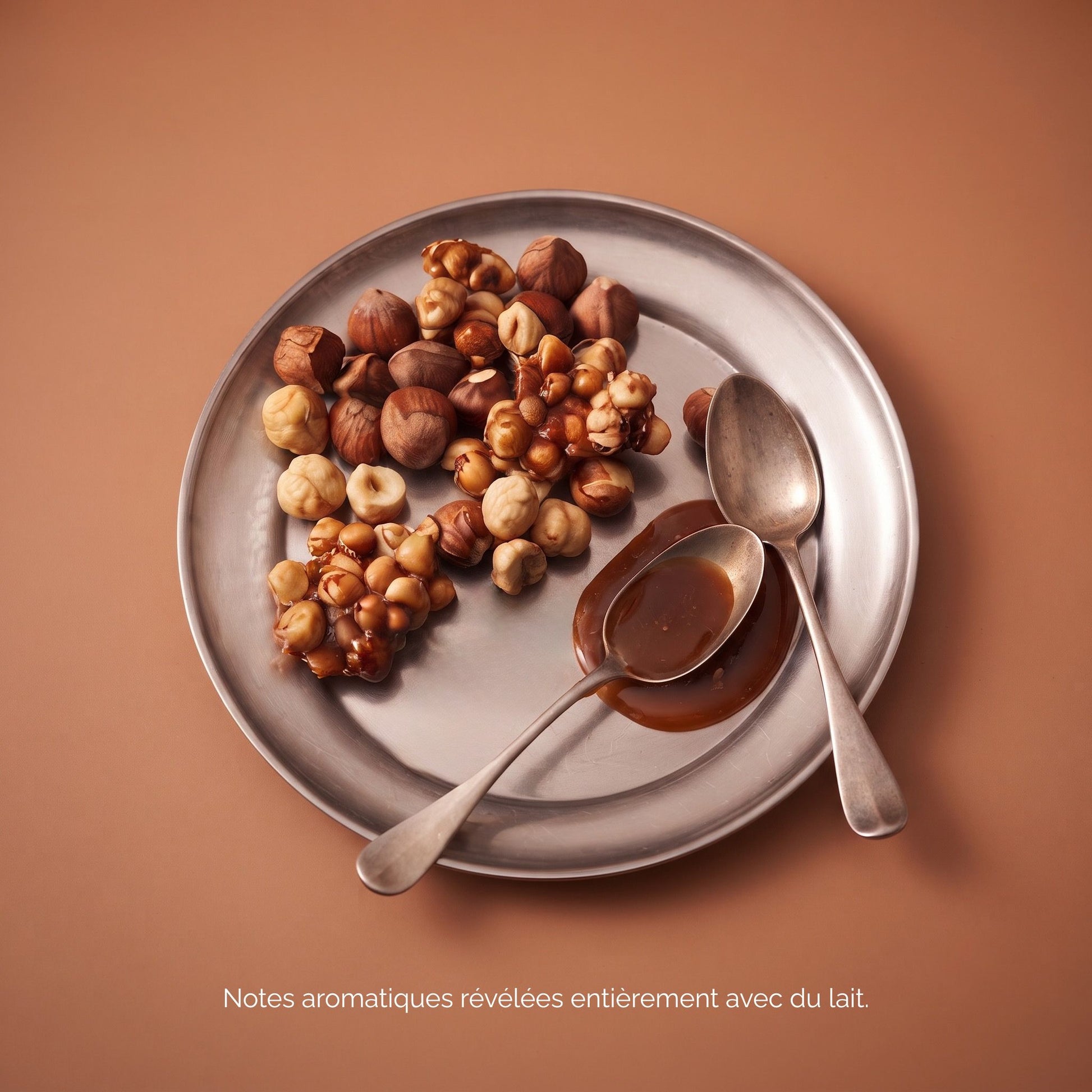 Chicorée Bio - Noisette