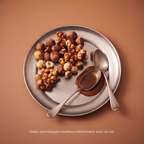 Chicorée Bio - Noisette