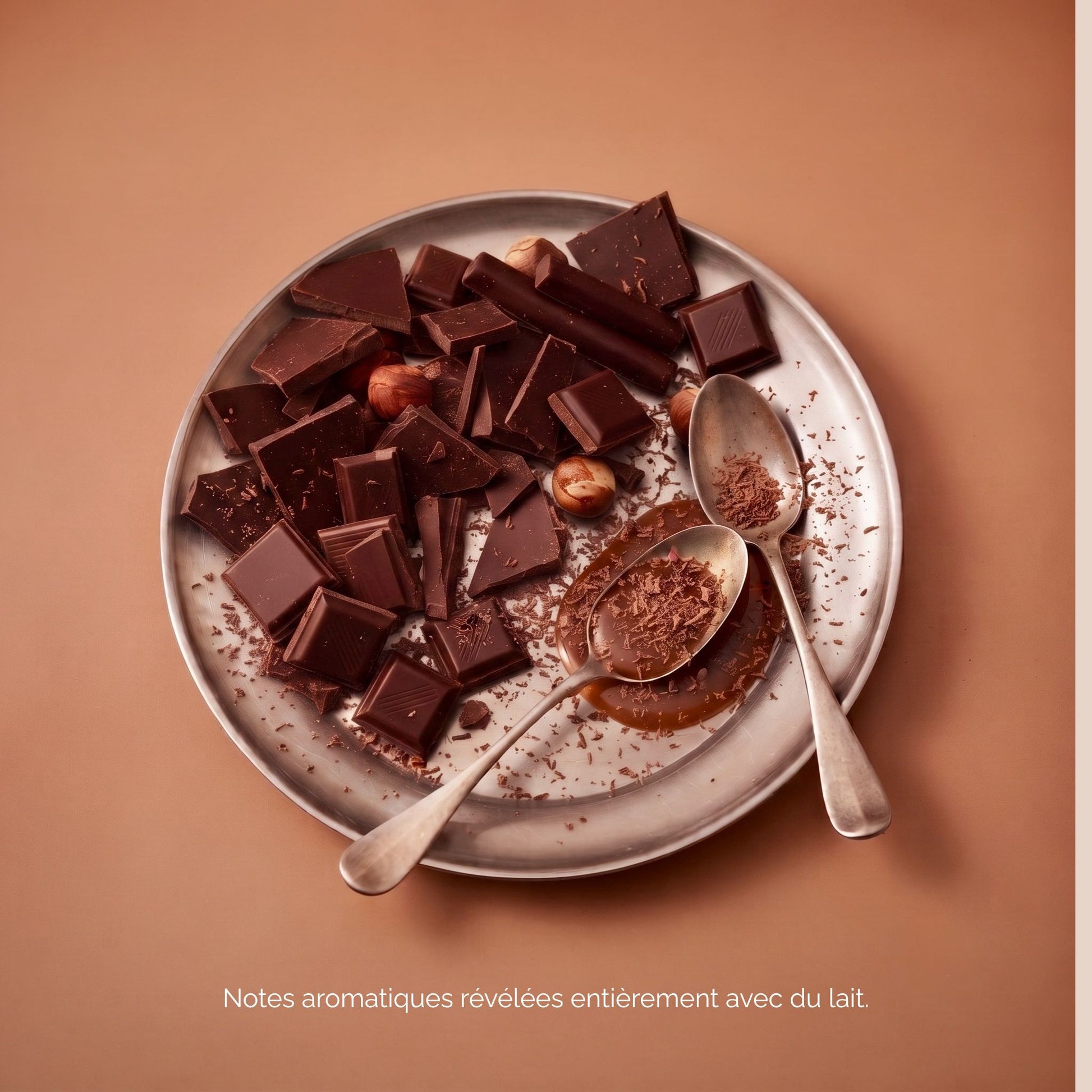 Chicorée Bio - Chocolat